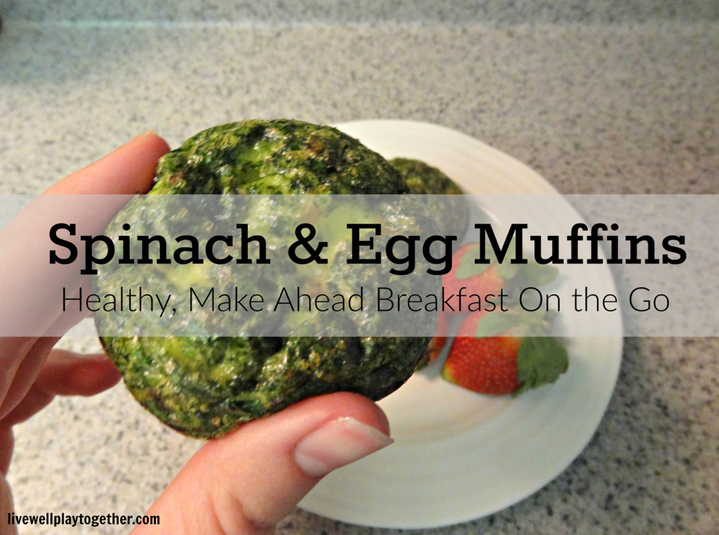 Spinach and egg muffins - a great, healthy breakfast you can eat on the go!