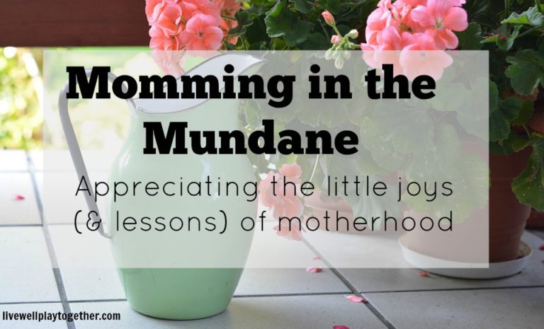 Momming in the Mundane: having the nice things