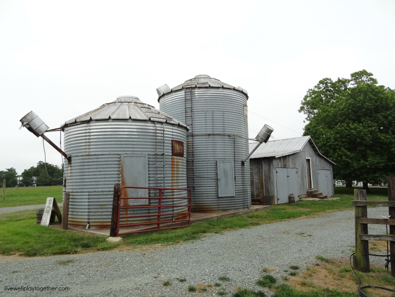 Beautiful outdoor farm wedding in NC