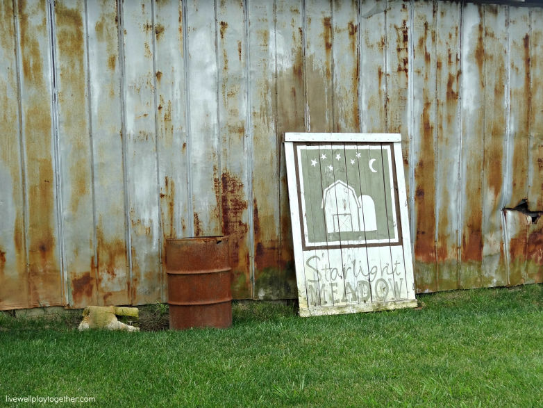 Beautiful Outdoor Wedding