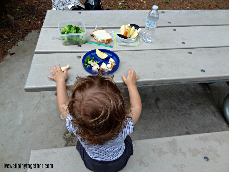 Looking for some free fun with your little one? Pack up lunch and head to the playground! 