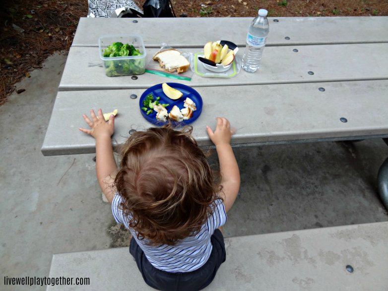 Looking for some free fun with your little one? Pack up lunch and head to the playground!