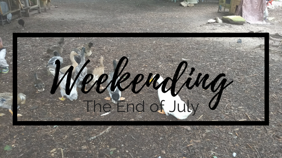 Weekending: The End of July
