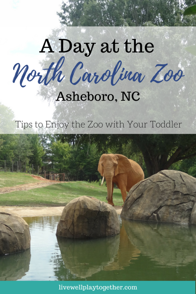 Visiting North Carolina? The NC Zoo makes a great day trip! Perfect for kids (of any age)! Don't miss these travel tips to make your trip a success!