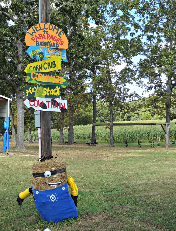 Tips to Make the Most of Your Trip to the Pumpkin Patch #pumpkin #pumpkinpatch #pumpkinfarm #familyfun #toddleractivities #pagefarms #visitNC