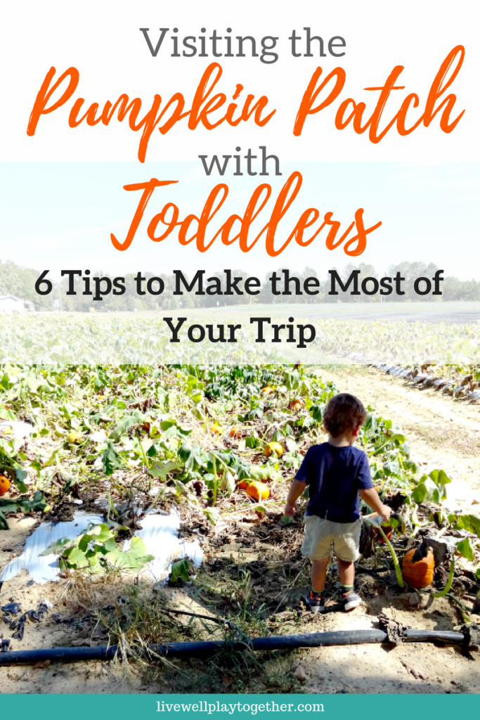 Tips to Make the Most of Your Trip to the Pumpkin Patch #pumpkin #pumpkinpatch #pumpkinfarm #familyfun #toddleractivities #pagefarms #visitNC