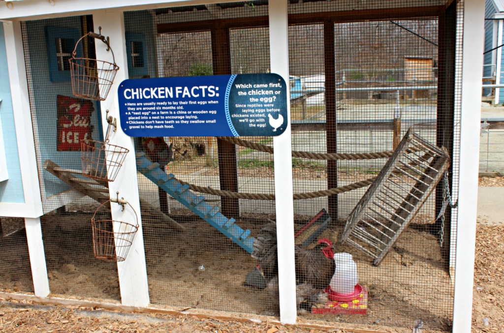 Take a Day Trip to Greensboro, NC and check out the Greensboro Science Center - hands-on fun and learning for the whole family! #science #museum #toddlerfun #vacation #familyvacation #familyfun #learning #daytrip #northcarolina #visitnc #greensboronc #travel #familytravel