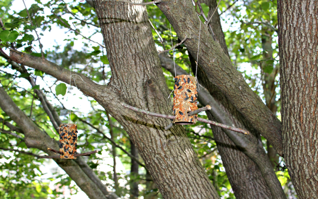 DIY Bird Feeders for Kids to Make