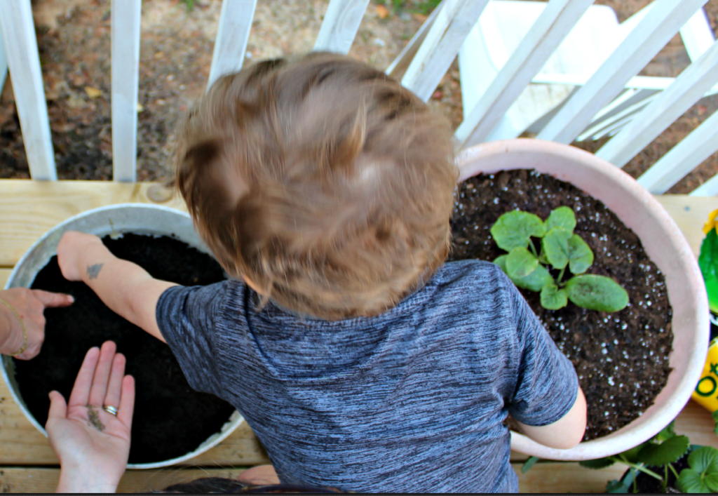 Planting a container garden on the back porch with toddlers