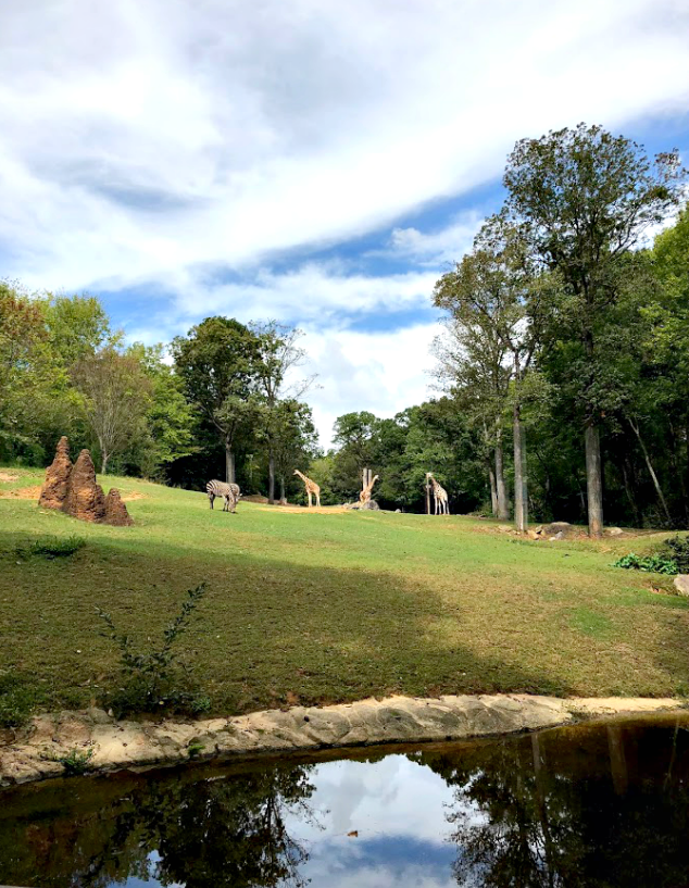 Our trip to the North Carolina Zoo | Come see all there is to do at the NC Zoo - the largest natural habitat zoo in the US.  Great, family friendly activity in NC from livewellplaytogether.com #NCZoo #BestZoos #travelwithkids #familyvacation #daytrips