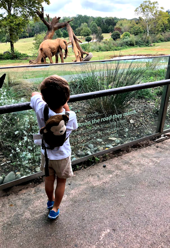 Our trip to the North Carolina Zoo | Come see all there is to do at the NC Zoo - the largest natural habitat zoo in the US.  Great, family friendly activity in NC from livewellplaytogether.com #NCZoo #BestZoos #travelwithkids #familyvacation #daytrips