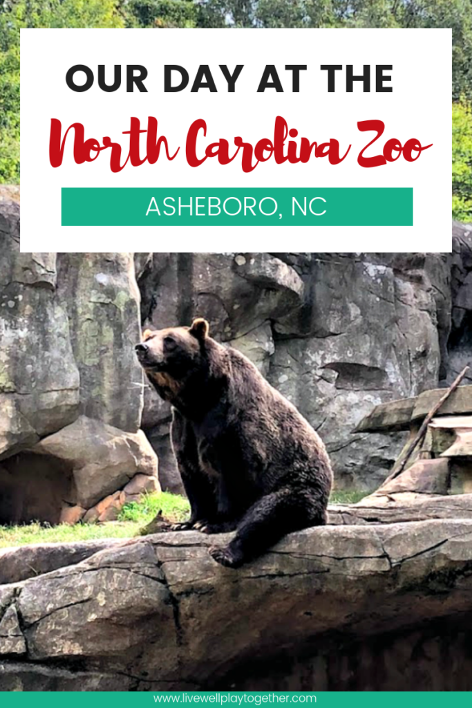 Our trip to the North Carolina Zoo | Come see all there is to do at the NC Zoo - the largest natural habitat zoo in the US.  Great, family friendly activity in NC from livewellplaytogether.com #NCZoo #BestZoos #travelwithkids #familyvacation #daytrips