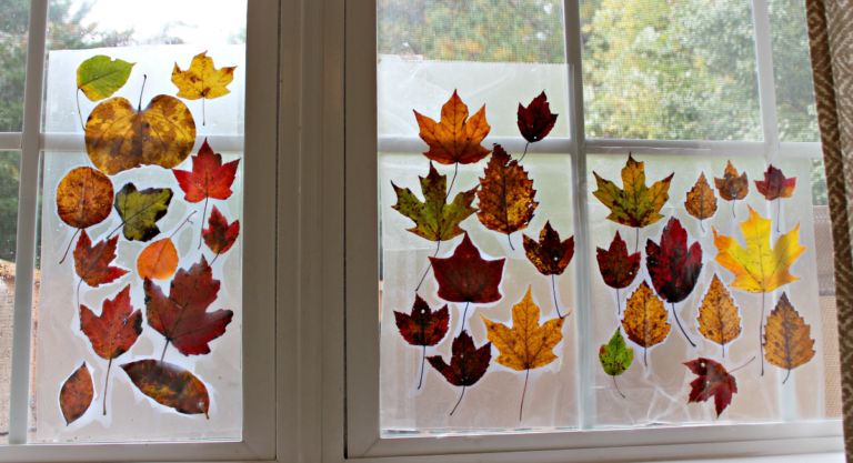 Fall Leaf Sun Catchers: A Fun & Easy Fall Activity for Kids