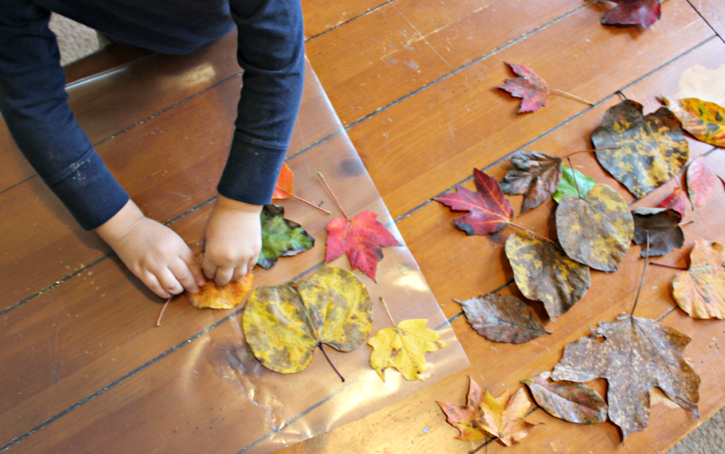 How to make a fall leaf sun catcher with contact paper