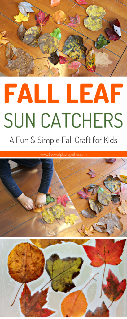 These fall leaf sun catchers are the perfect, easy fall leaf craft for toddlers and preschoolers. Using just leaves from your yard and contact paper, they are a great way to celebrate Fall with your kids! From livewellplaytogether.com | #fallleafcrafts #fallcraftsforpreschoolers #preschoolcrafts #toddlercraftideas