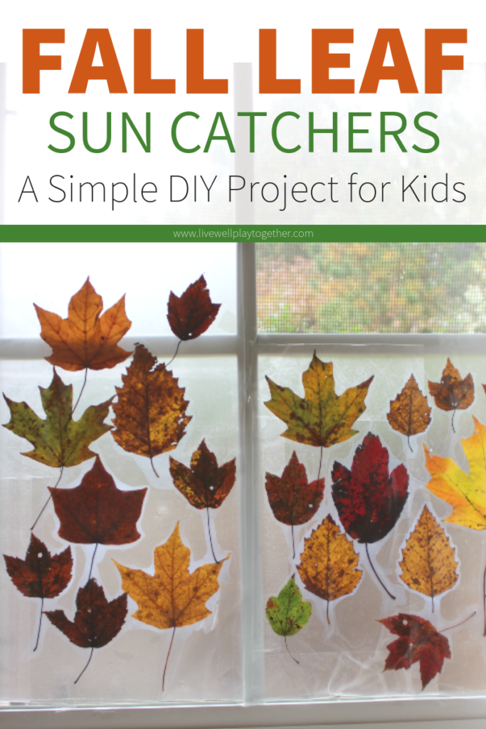 These fall leaf sun catchers are the perfect, easy fall leaf craft for toddlers and preschoolers. Using just leaves from your yard and contact paper, they are a great way to celebrate Fall with your kids! From livewellplaytogether.com | #fallleafcrafts #fallcraftsforpreschoolers #preschoolcrafts #toddlercraftideas
