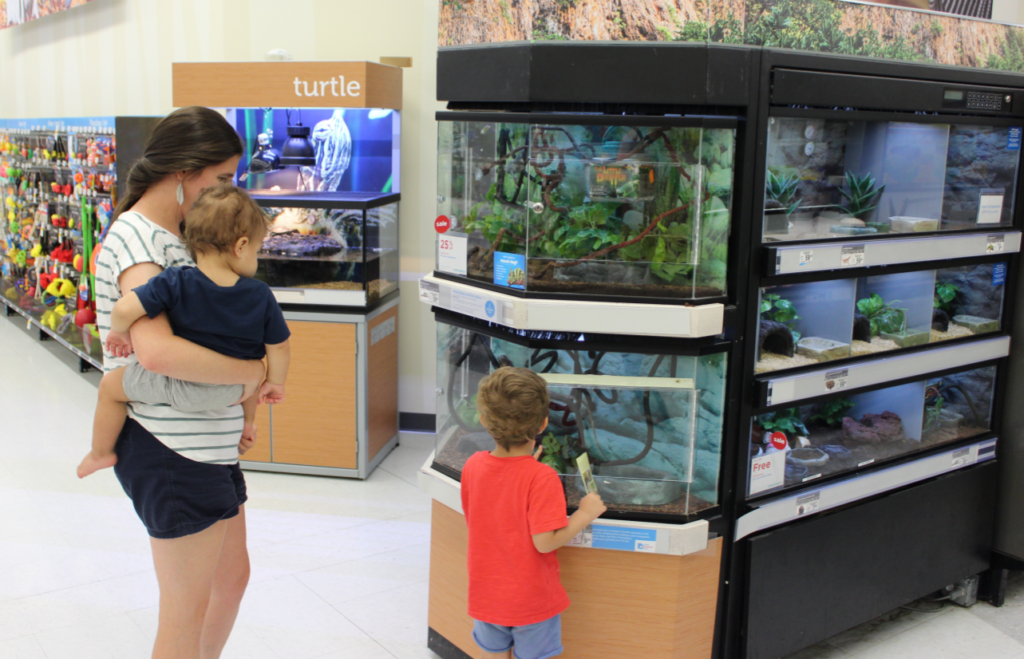 How to Find Joy in Motherhood_Taking Kids to the Pet Store
