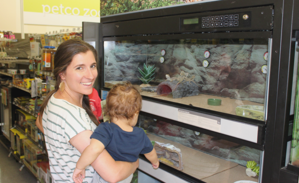 Slow Living Slow Motherhood Kids at Pet store