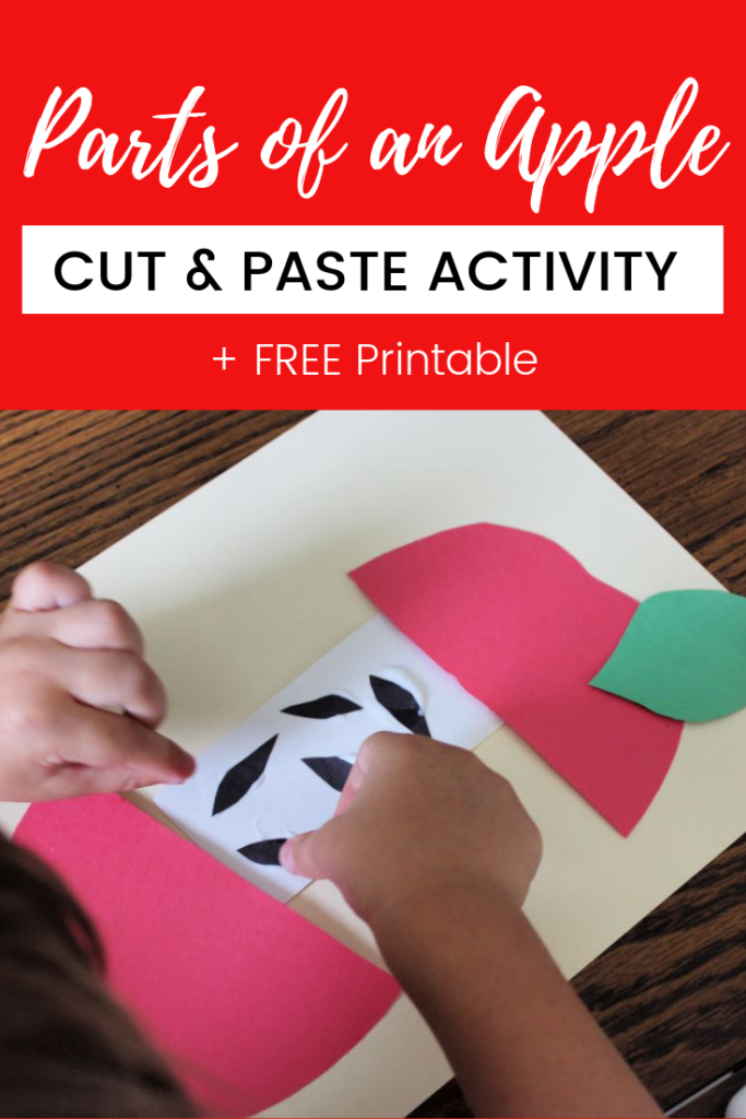 This parts of an apple activity for preschoolers and kindergarten is a great apple themed cut and paste activity. Great way to incorporate fine motor skills into your apple units. #appleunitstudy #appletheme #preschoollessonplans