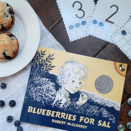 Blueberries for sal activities cover.
