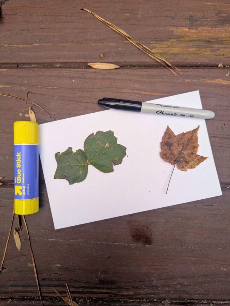 fall leaf craft supplies - leaves, index card, glue stick, and permanent marker